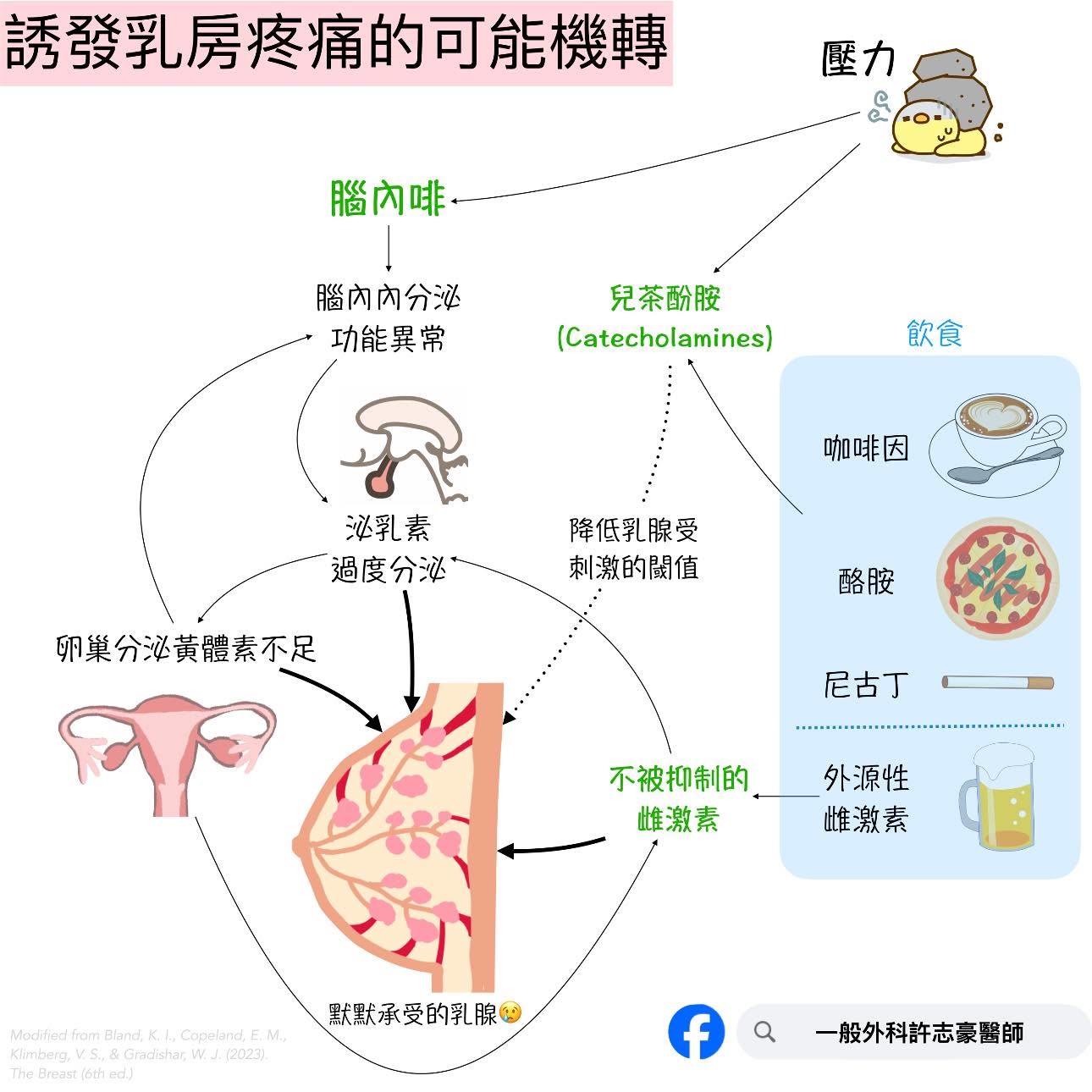 誘發乳房疼痛的可能機轉：壓力誘發腦內啡與兒茶酚胺、荷爾蒙失調（泌乳素過度分泌、黃體素不足、不被抑制的雌激素），以及飲食因素共同影響乳腺